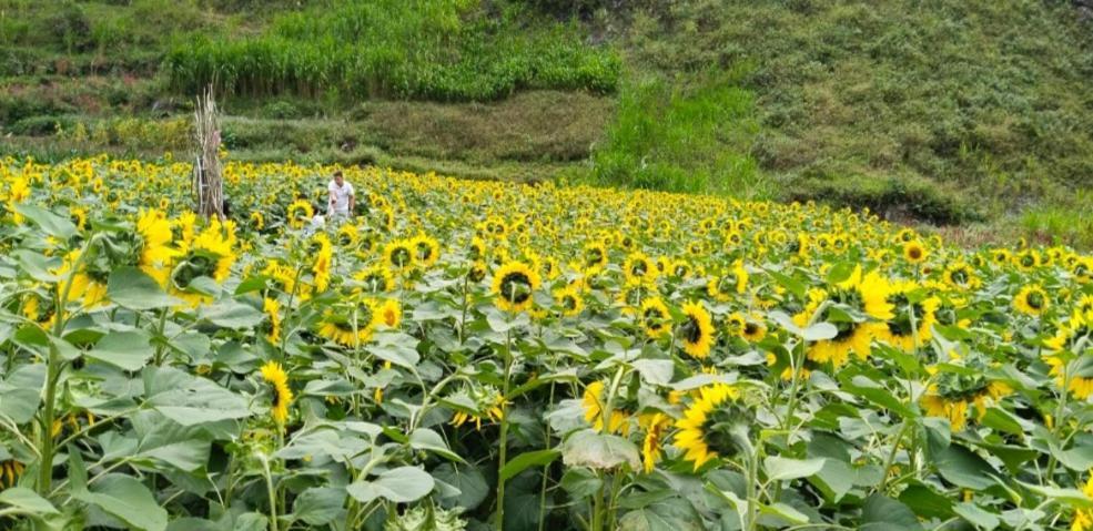 Nha Nghi Anh Van Донгван Экстерьер фото